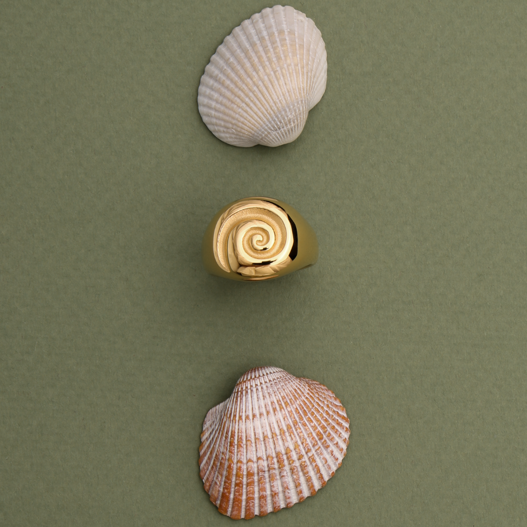 Nautilus Spiral Signet Ring — Calypso