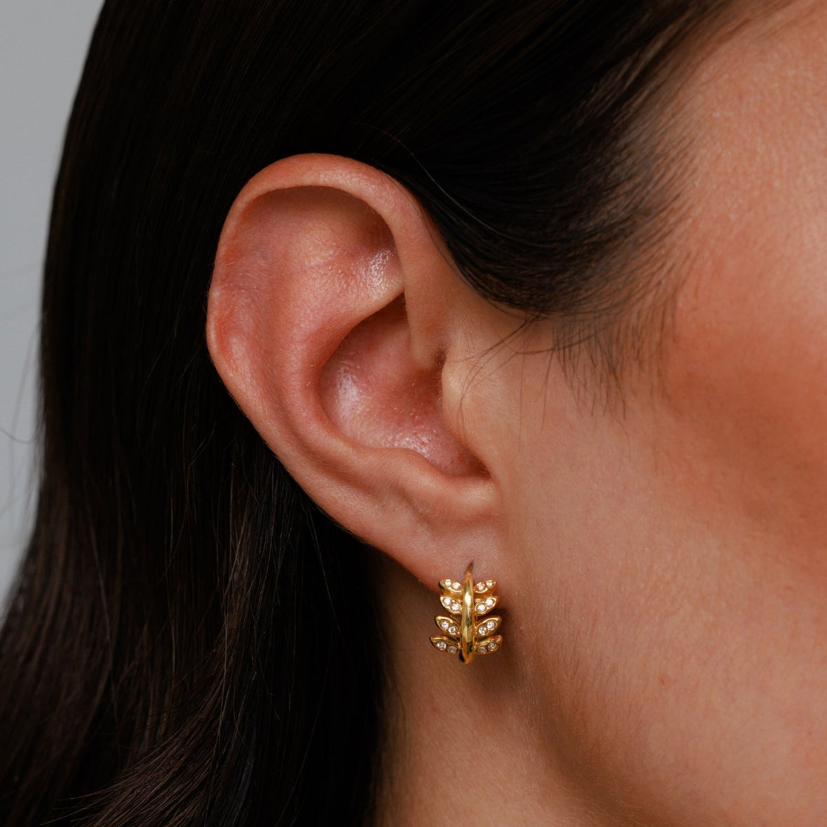 Laurel Leaf Zircon Huggie Hoop Earrings