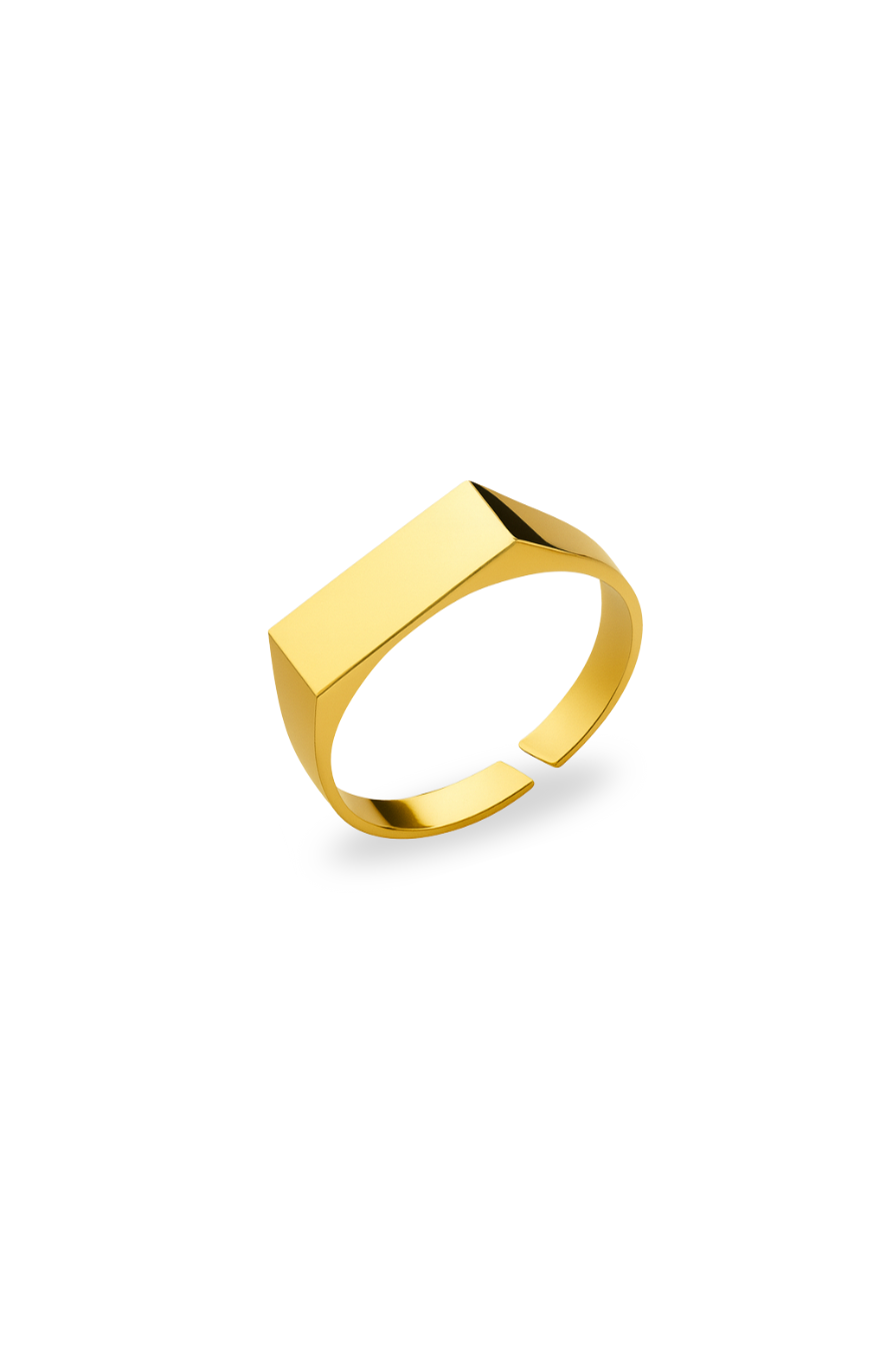 Rectangular Signet Ring, 14K Gold-Plated Steel, Adjustable