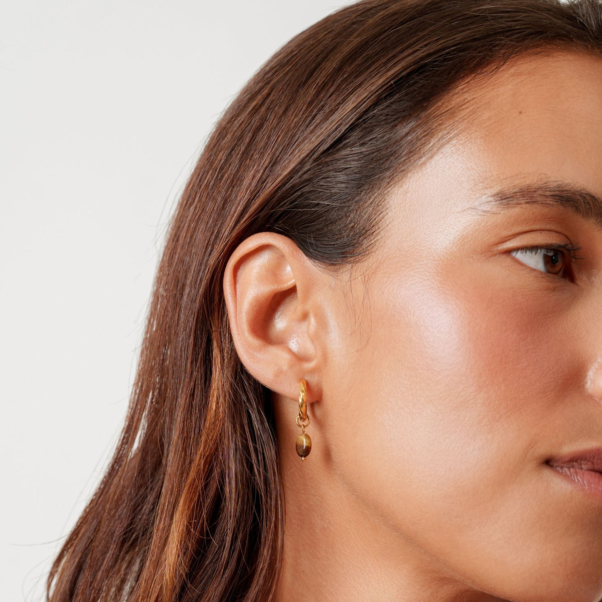 Whale Tail Coin Drop Hoop Earrings, Steel