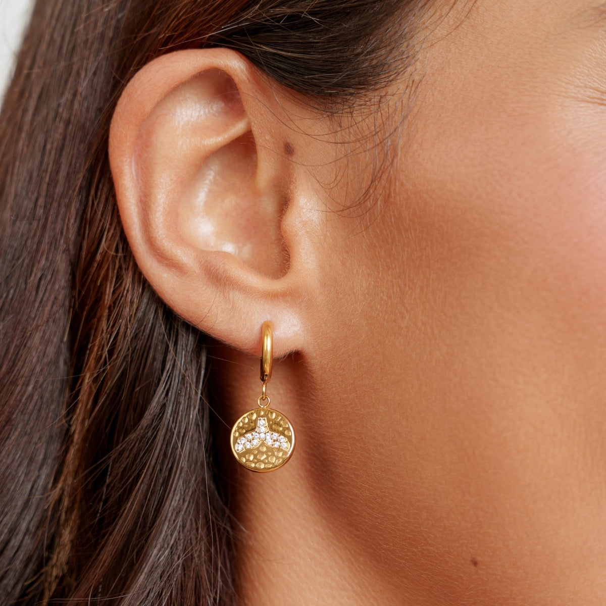 Whale Tail Coin Drop Hoop Earrings, Steel