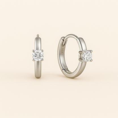 Single Crystal Huggie Hoop Earrings — Morgana