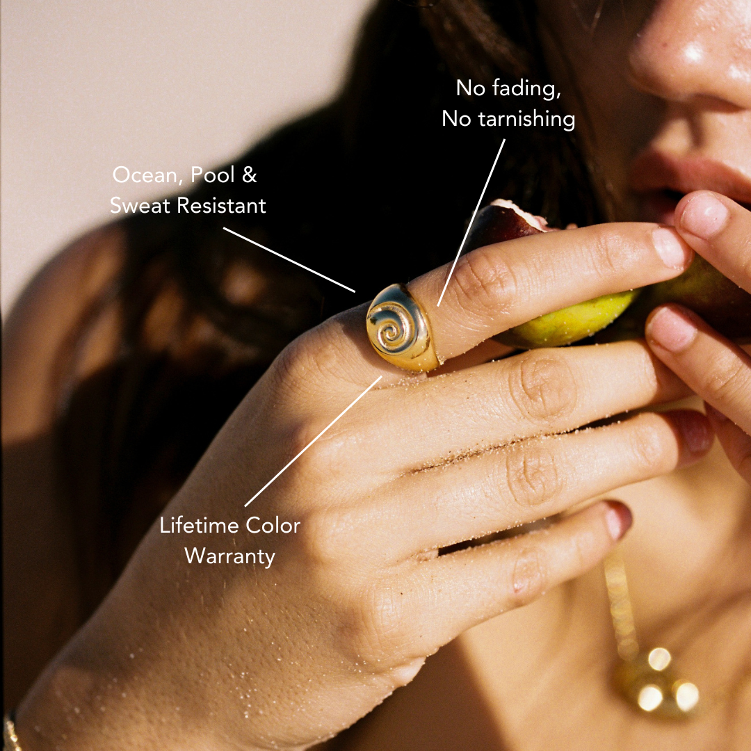 Nautilus Spiral Signet Ring — Calypso