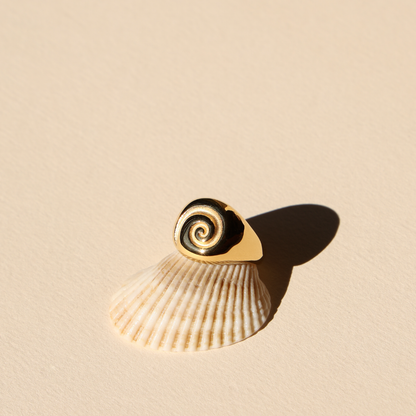 Nautilus Spiral Signet Ring — Calypso