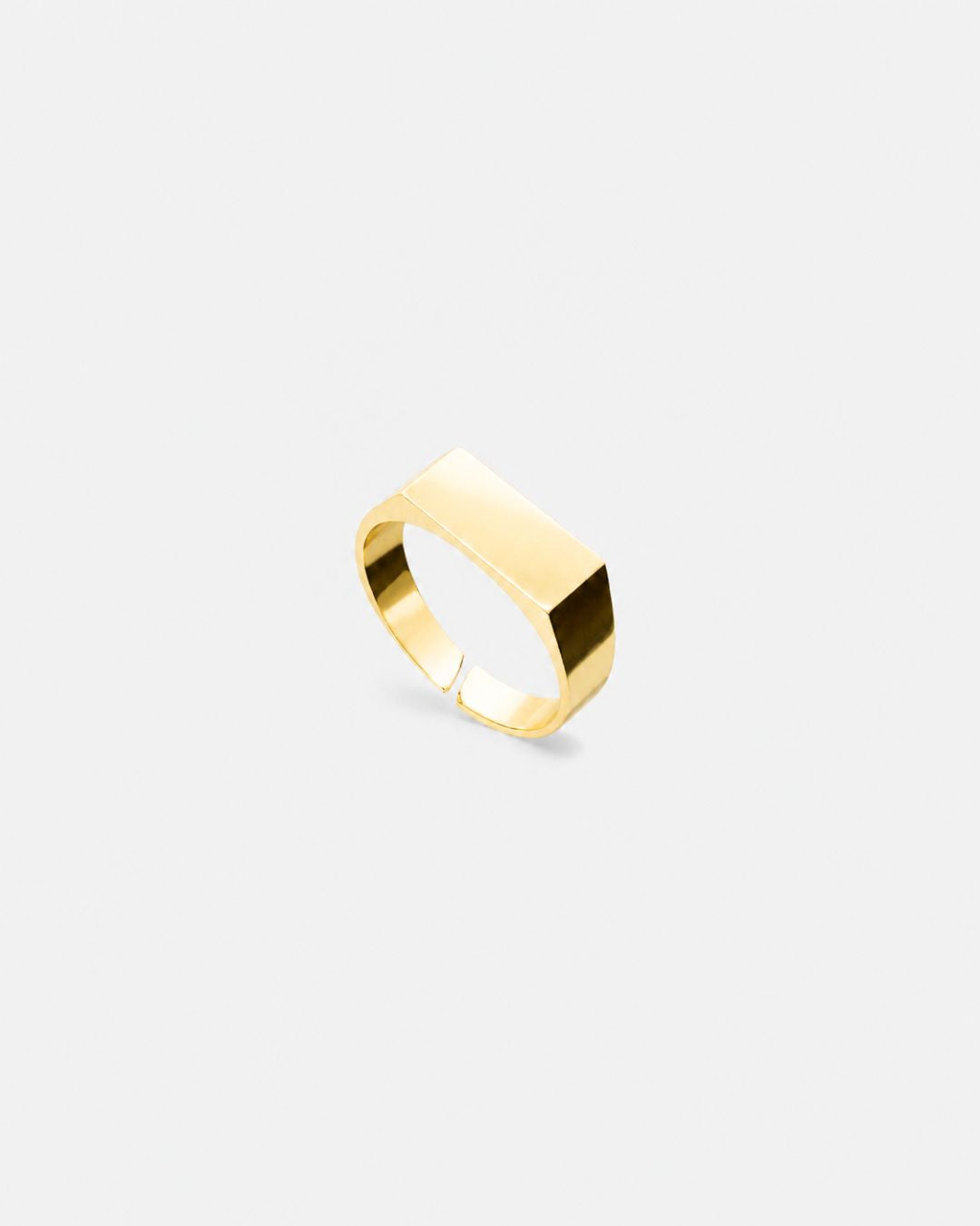 Rectangular Signet Ring, 14K Gold-Plated Steel, Adjustable