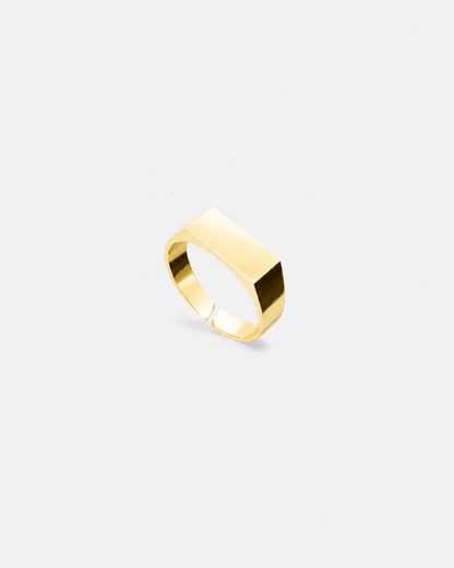 Rectangular Signet Ring, 14K Gold-Plated Steel, Adjustable
