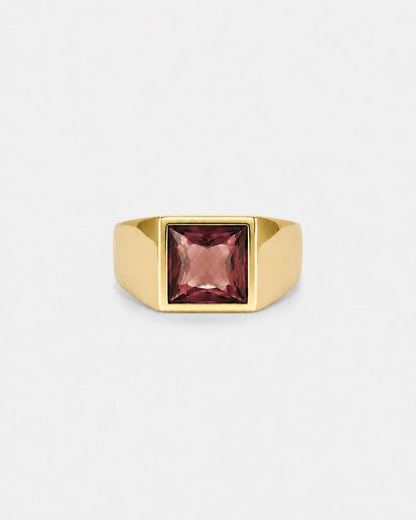 Men’s Red Zirconia Square Signet Ring, Gold-Tone