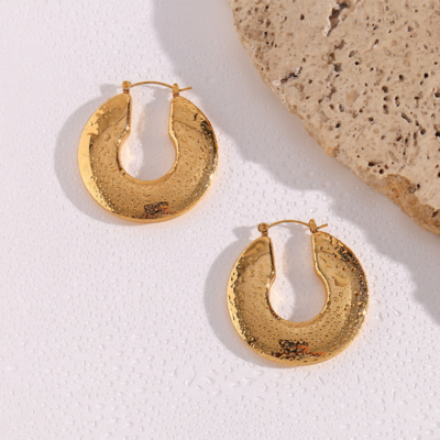 Broad Disc Hoop Earrings — Lille