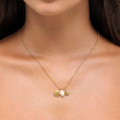 Sun Shell and Freshwater Pearl Necklace