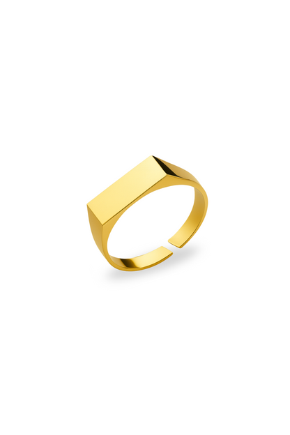 Rectangular Signet Ring, 14K Gold-Plated Steel, Adjustable
