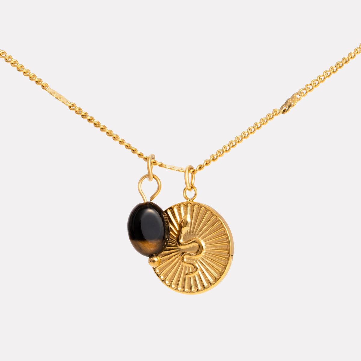 Snake Coin and Tiger Eye Necklace, Steel