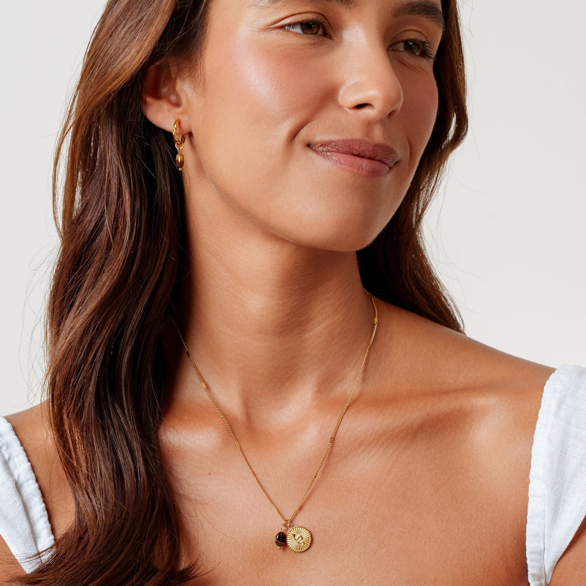 Snake Coin and Tiger Eye Necklace, Steel