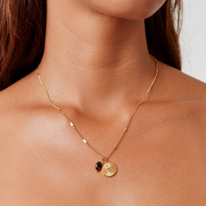 Snake Coin and Tiger Eye Necklace, Steel