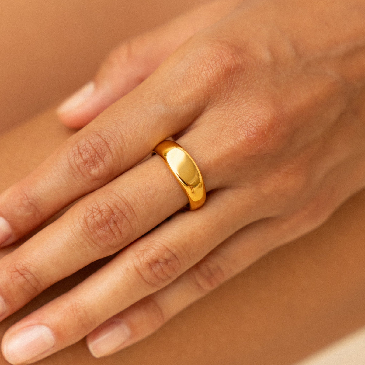 Plain Oval Signet Ring, Steel — Everyday