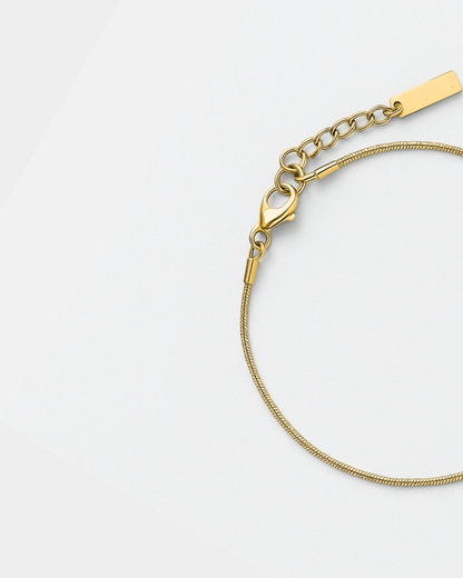 Snake Chain Bracelet, 2 mm, 18K Gold-Plated Steel, Adjustable