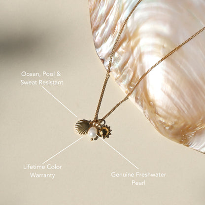 Sun Shell and Freshwater Pearl Necklace