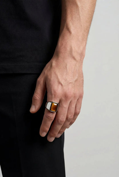 Men’s Tiger's Eye Signet Ring, Stainless Steel — Terra