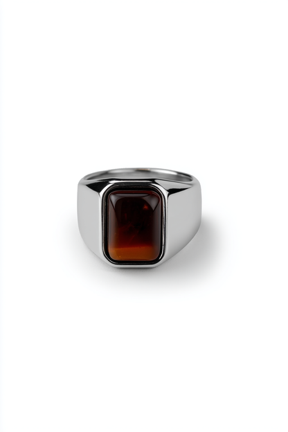 Men’s Tiger's Eye Signet Ring, Stainless Steel — Terra